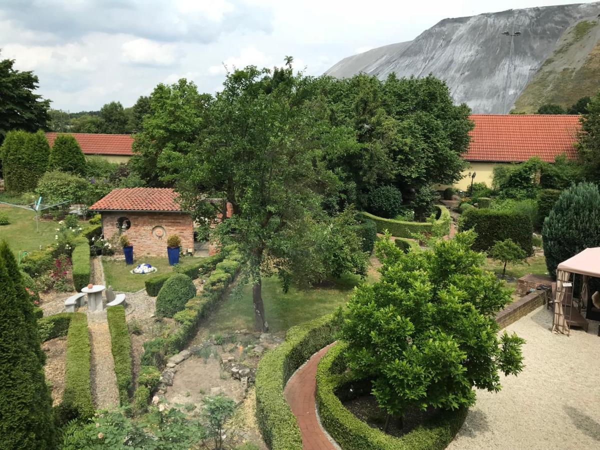 Weitläufiger Rasen mit altem Baumbestand